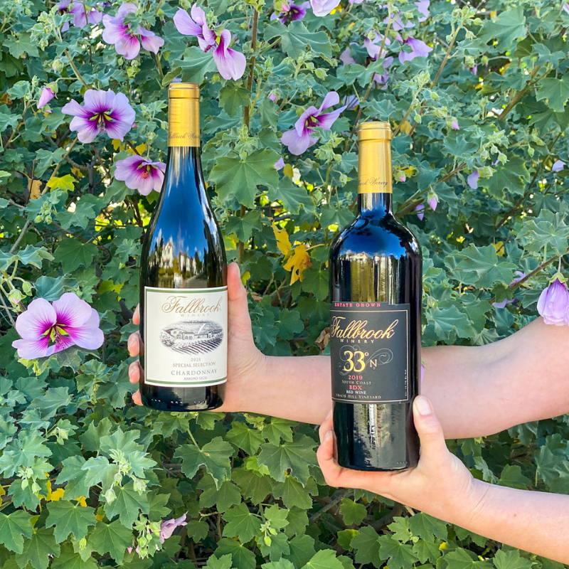 Local Wine Delivery Cork & Stem