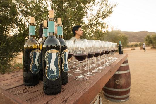 Featured Winery: Finca la Carrodilla
