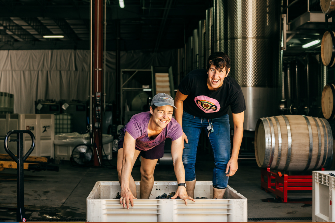 Featured Winery: Birdhorse Wines