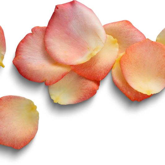 Flower Petals