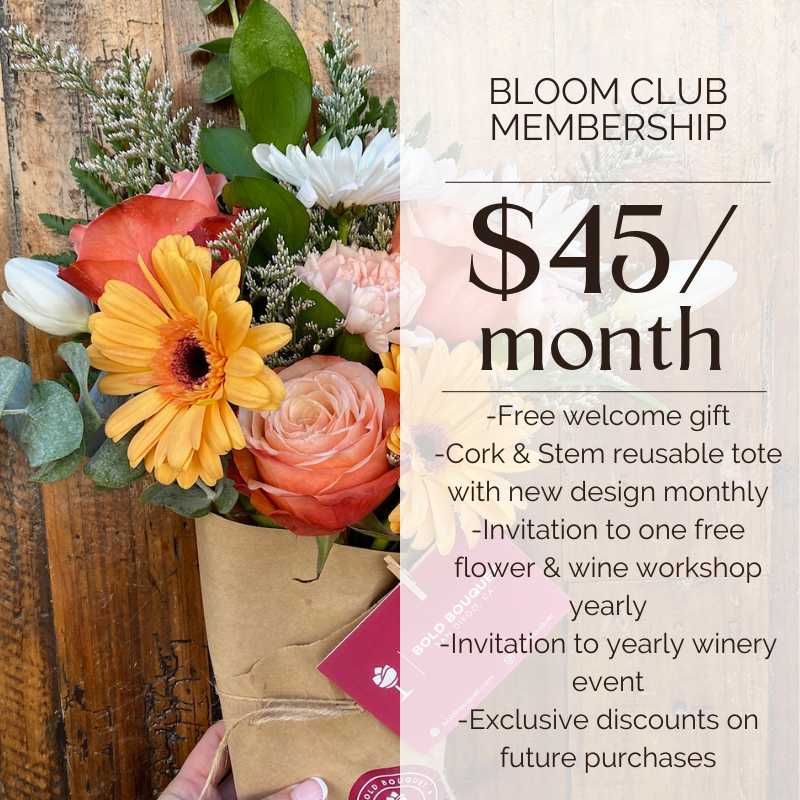 Bloom Club - Monthly Membership